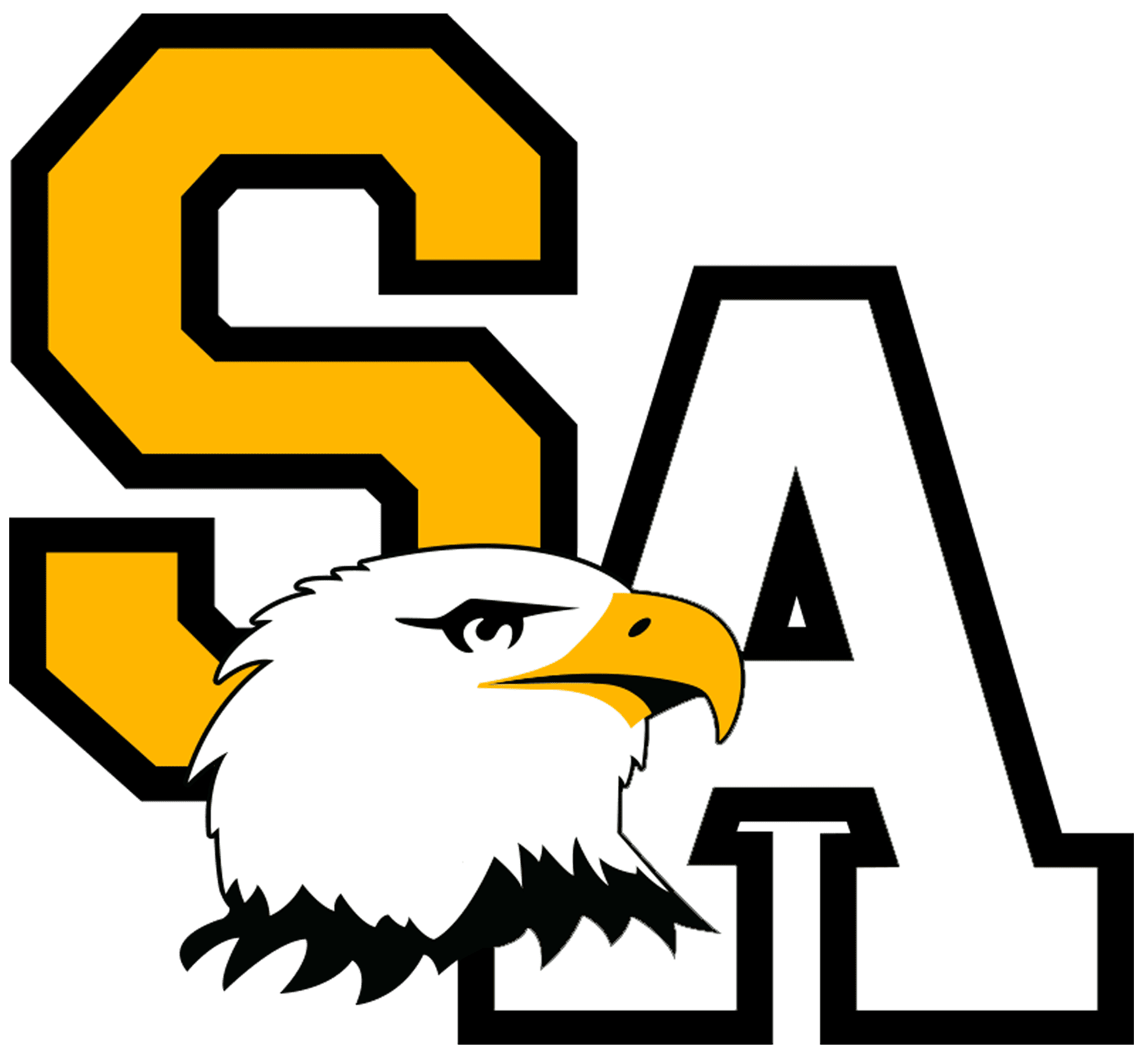 Sunflowers Academy Soaring to New Horizons