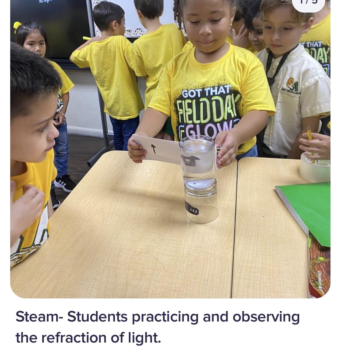 Gallery Sunflowers Academy