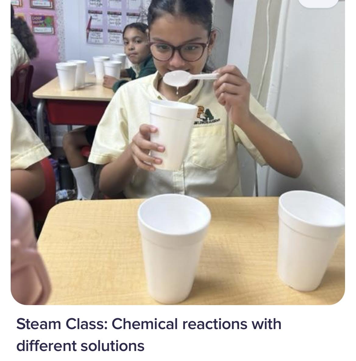 Gallery Sunflowers Academy