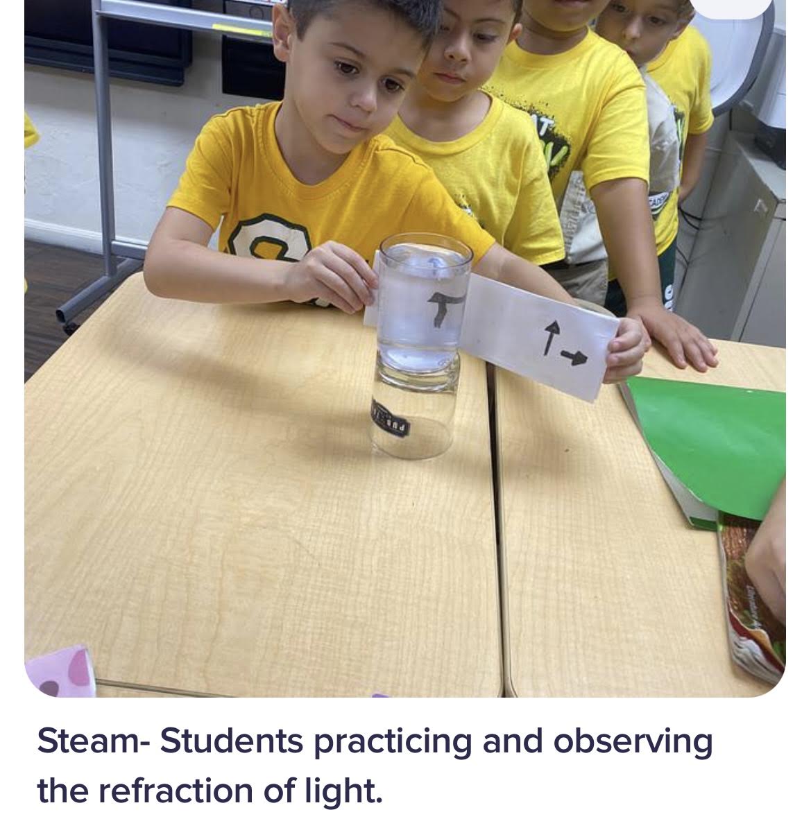 Gallery Sunflowers Academy