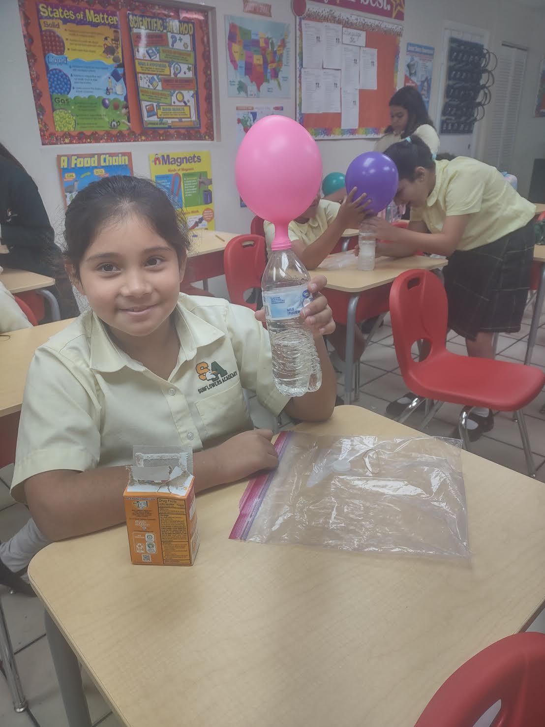 Gallery Sunflowers Academy