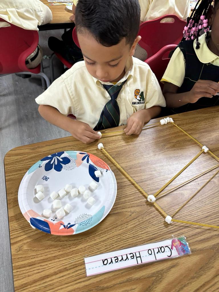 Gallery Sunflowers Academy